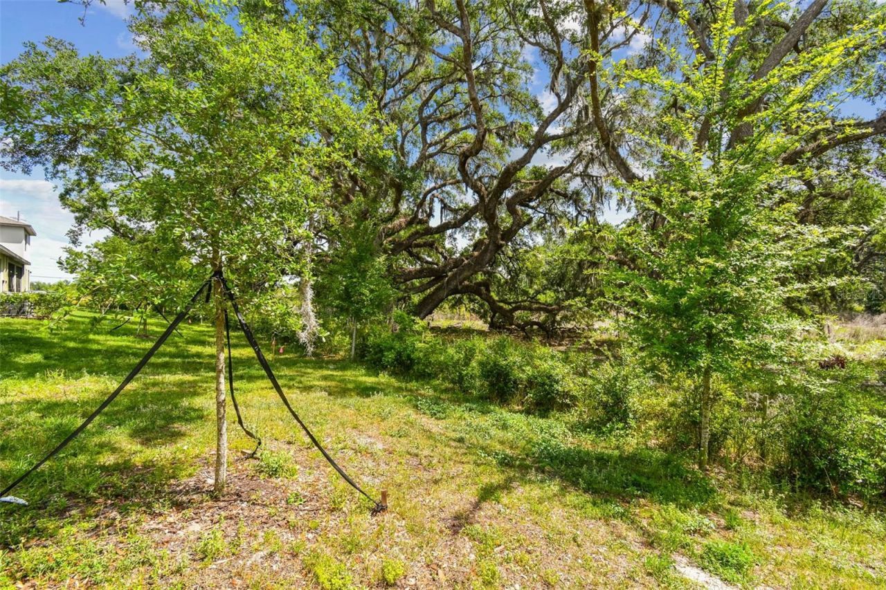 30814 Veridian Way, Wesley Chapel, FL 33545 Photo