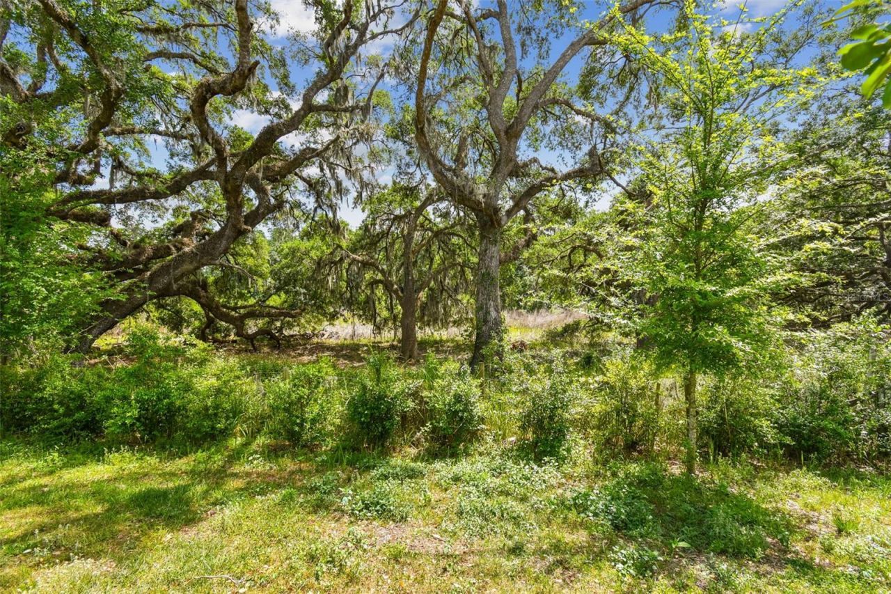 30814 Veridian Way, Wesley Chapel, FL 33545 Photo