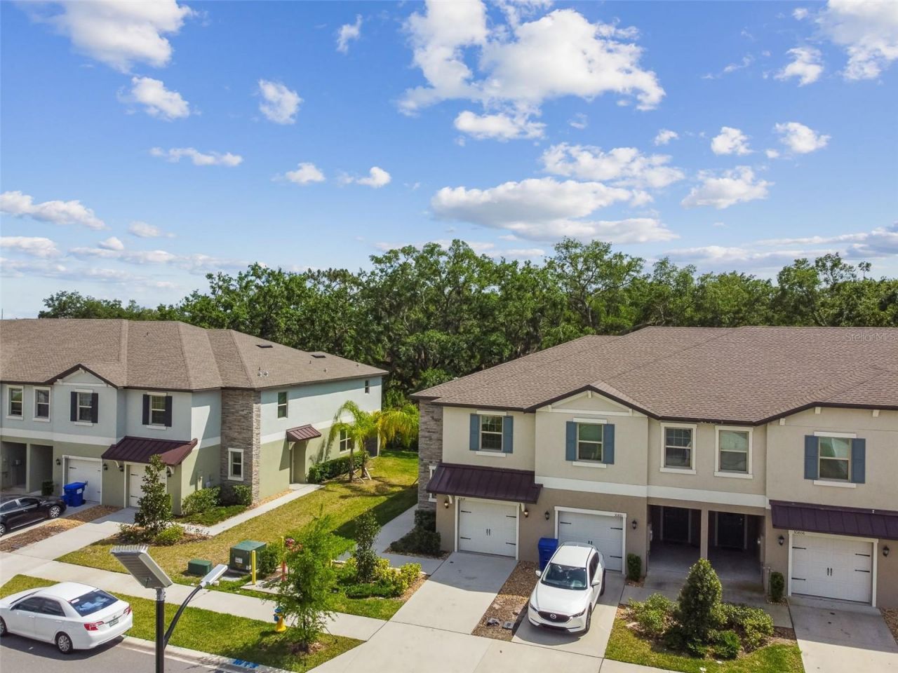 30814 Veridian Way, Wesley Chapel, FL 33545 Photo