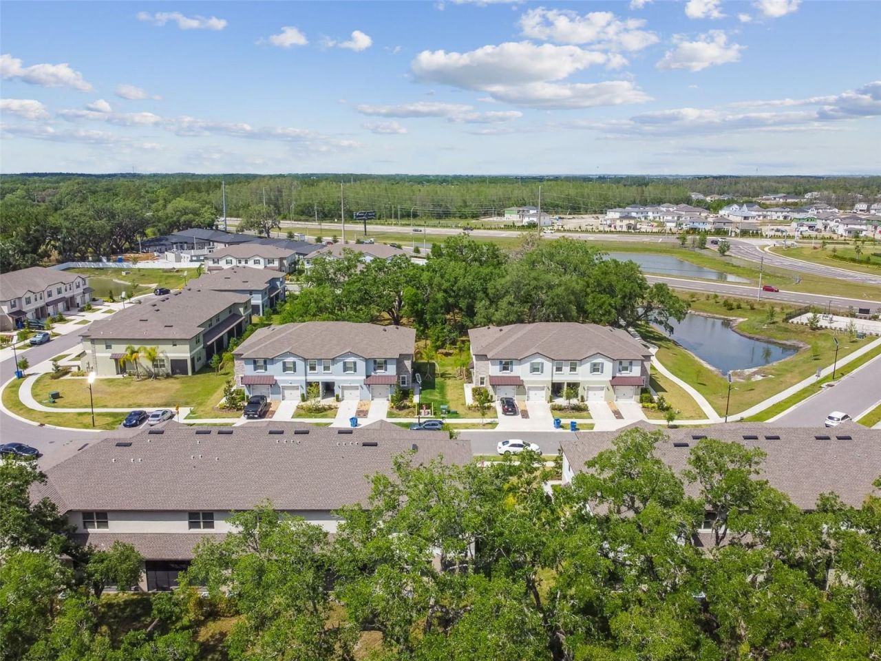 30814 Veridian Way, Wesley Chapel, FL 33545 Photo