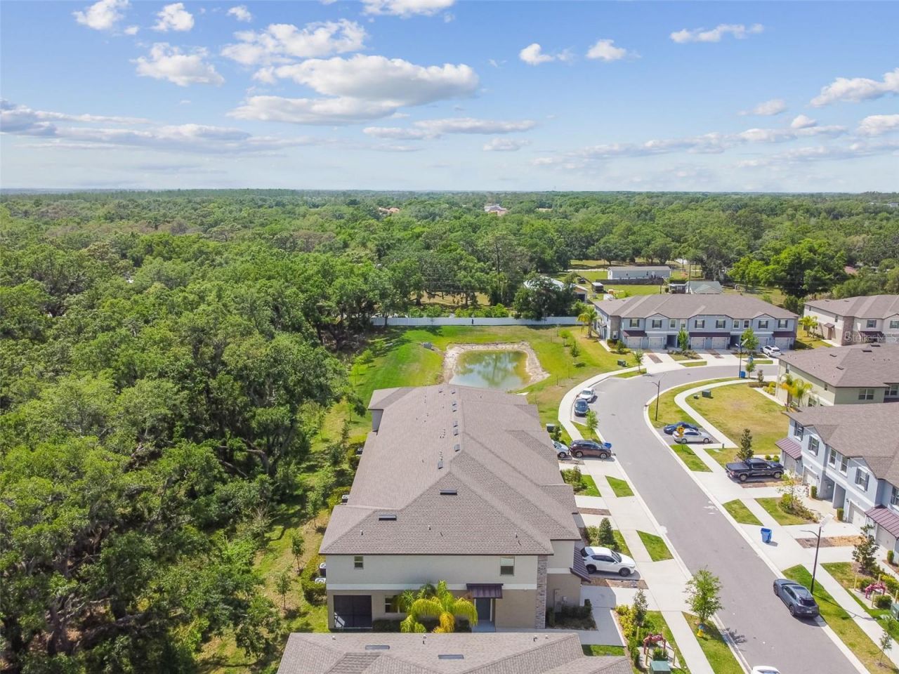 30814 Veridian Way, Wesley Chapel, FL 33545 Photo