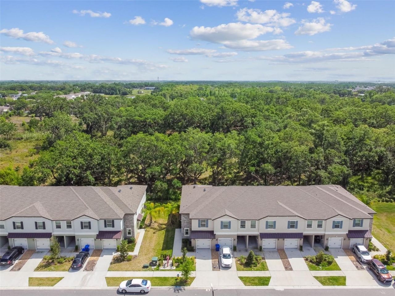 30814 Veridian Way, Wesley Chapel, FL 33545 Photo