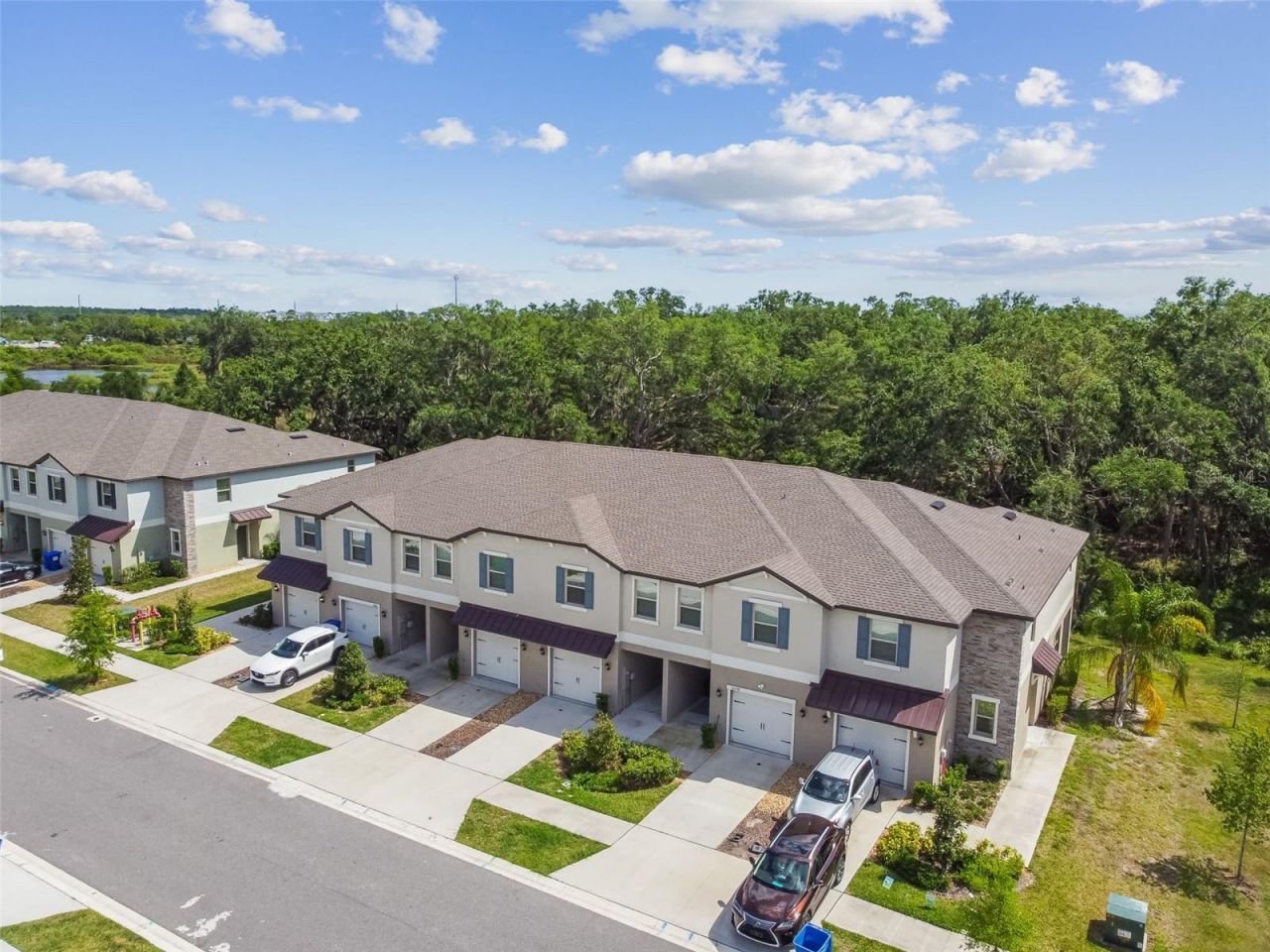 30814 Veridian Way, Wesley Chapel, FL 33545 Photo