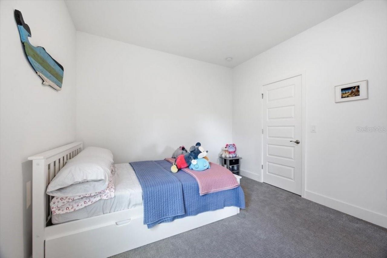 226 Hammock Preserve Loop, Oakland, FL 34787 Photo