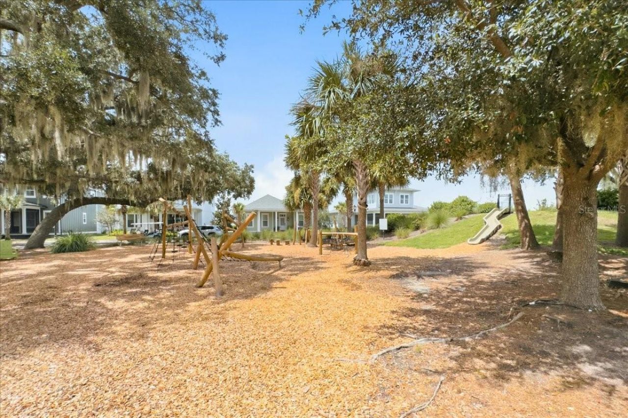 226 Hammock Preserve Loop, Oakland, FL 34787 Photo