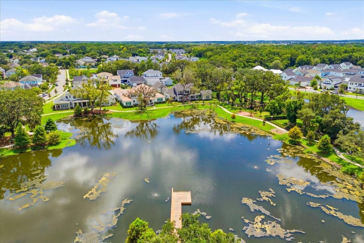 226 Hammock Preserve Loop, Oakland, FL 34787 Photo