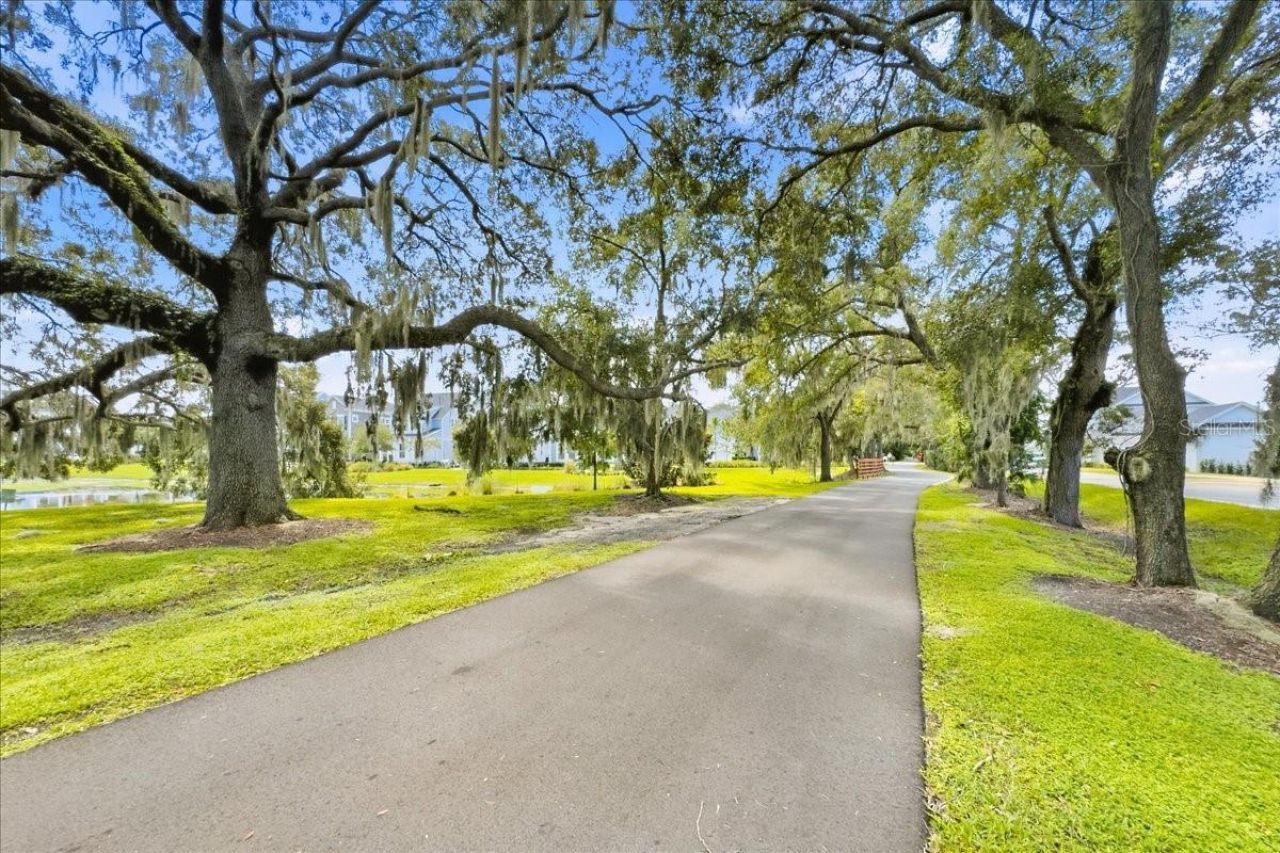 226 Hammock Preserve Loop, Oakland, FL 34787 Photo