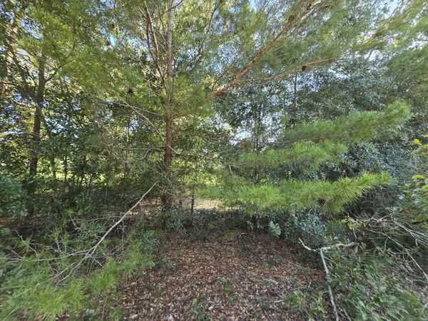 TBD Randi Road, Crestview, FL 32539