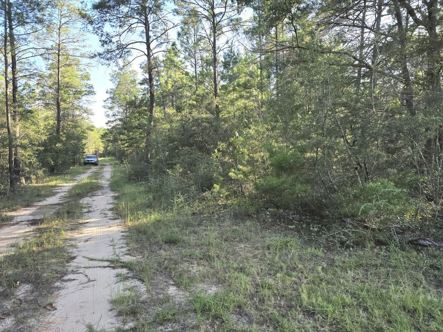 Property Image 9