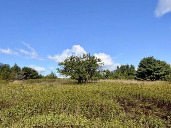TBD Pine Street, Ishpeming, MI 49849
