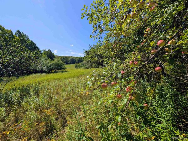 34 acres Chicagon Mine Road, Bates Twp, MI 49935