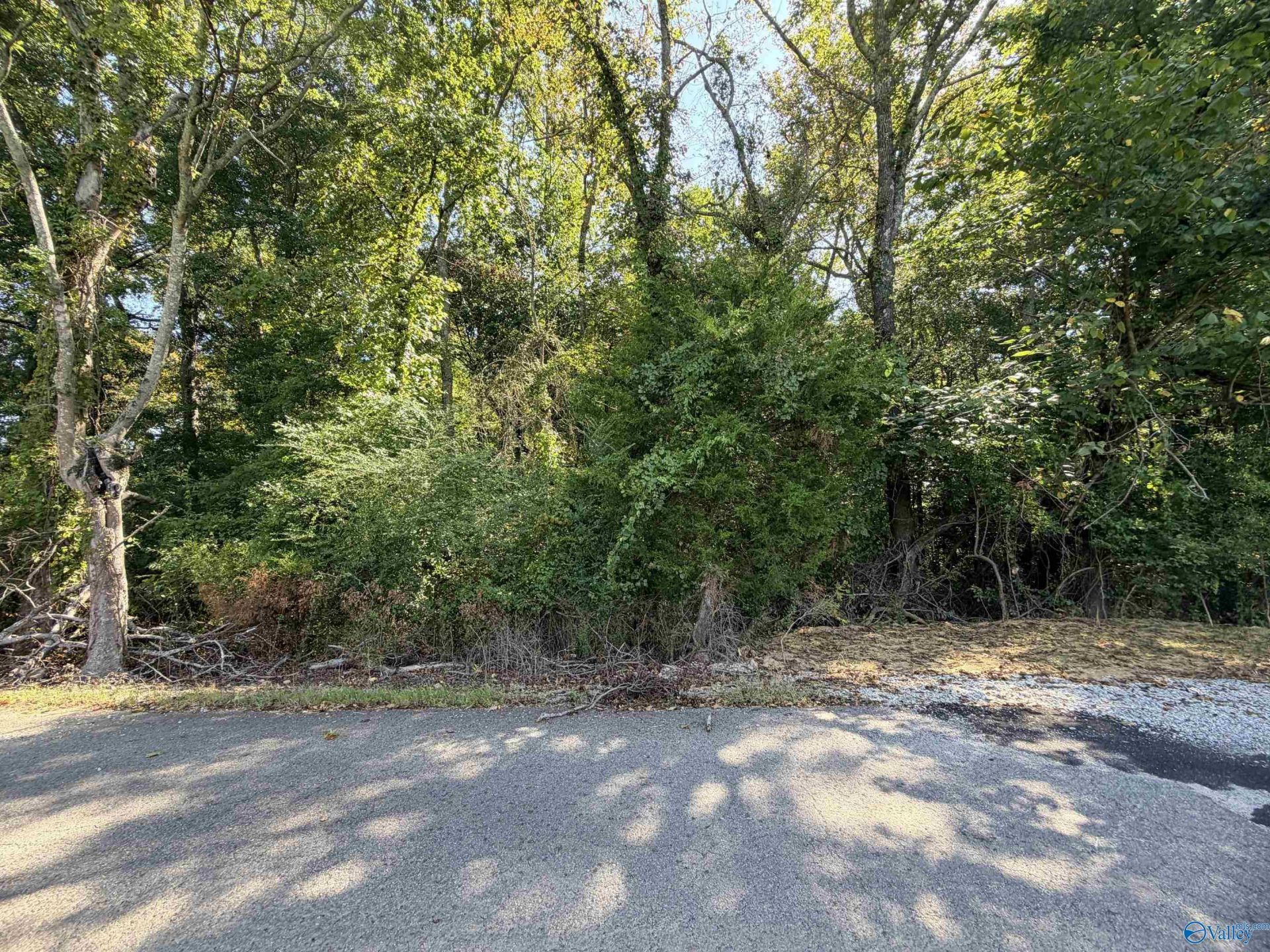 2 Acres Kelly Road, Tanner, AL 35671 Main Photo