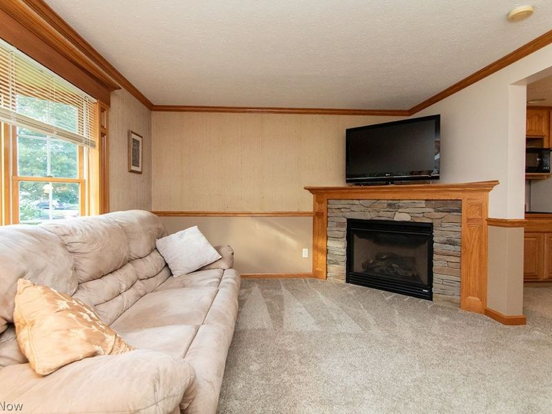 570 Falling Oaks Drive, Medina, OH 44256 Photo 4