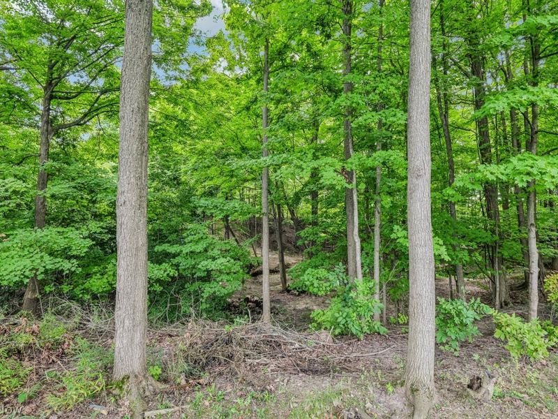 1248 Shawnee Trail, Streetsboro, OH 44241 Photo 22