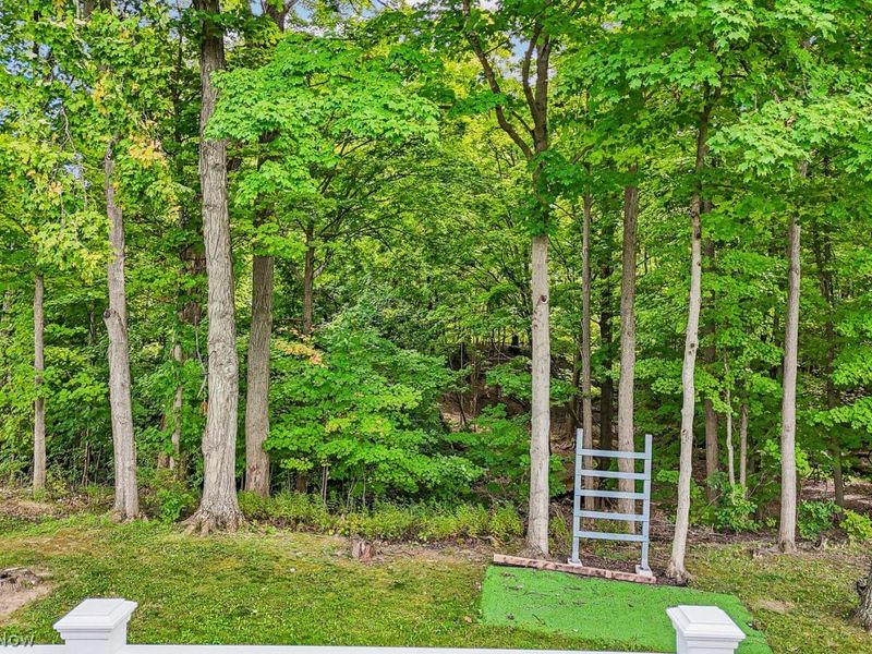 1248 Shawnee Trail, Streetsboro, OH 44241 Photo 23