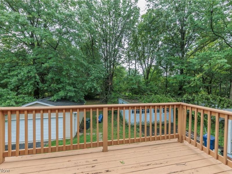 1007 Caledonia Avenue, Cleveland Heights, OH 44112 Photo 35