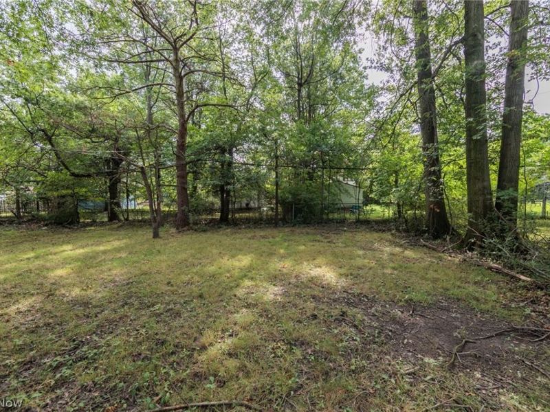 1007 Caledonia Avenue, Cleveland Heights, OH 44112 Photo 39