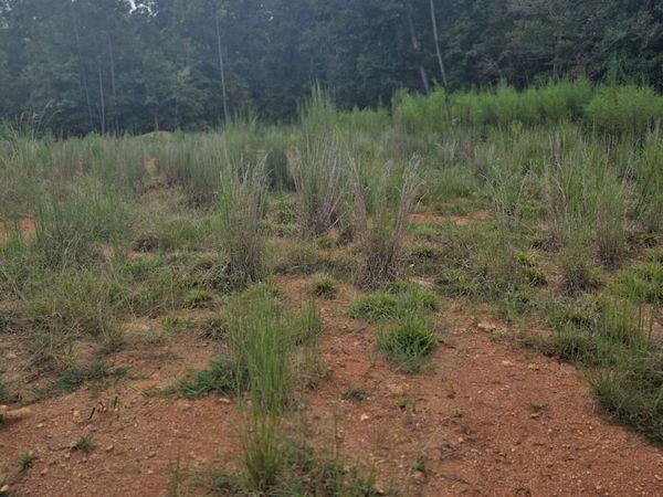 888 Forrester Cemetery Road, Covington, GA 30014
