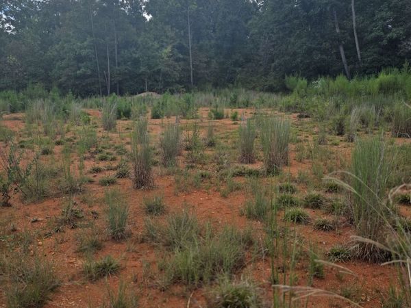 890 Forrester Cemetery Road, Covington, GA 30014