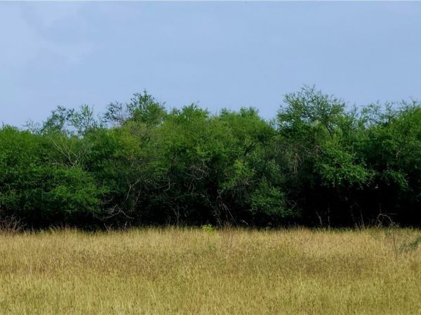 00 San Antonio River Road, Victoria, TX 77905