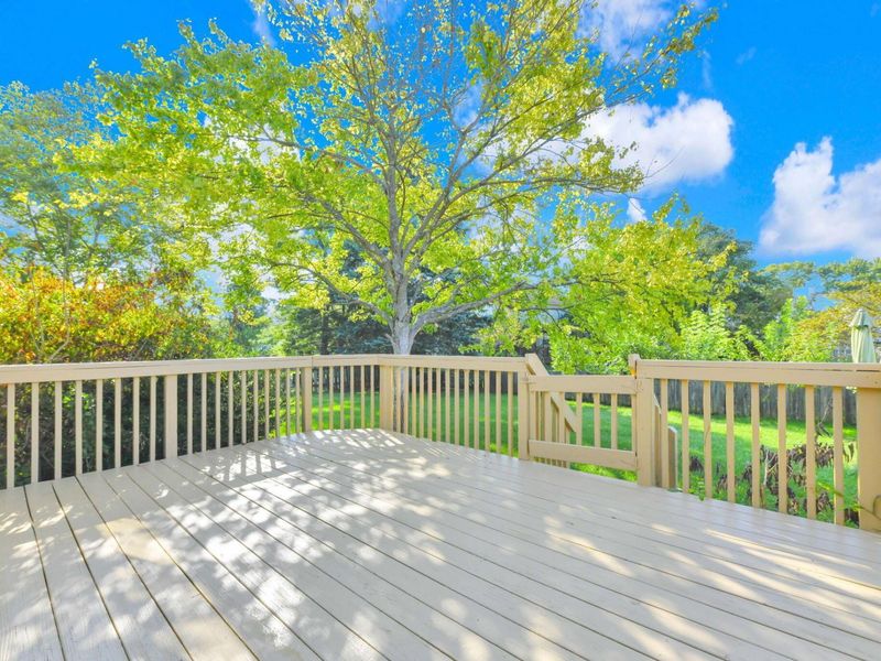 5725 Saucony Drive, Hilliard, OH 43026 Photo 45