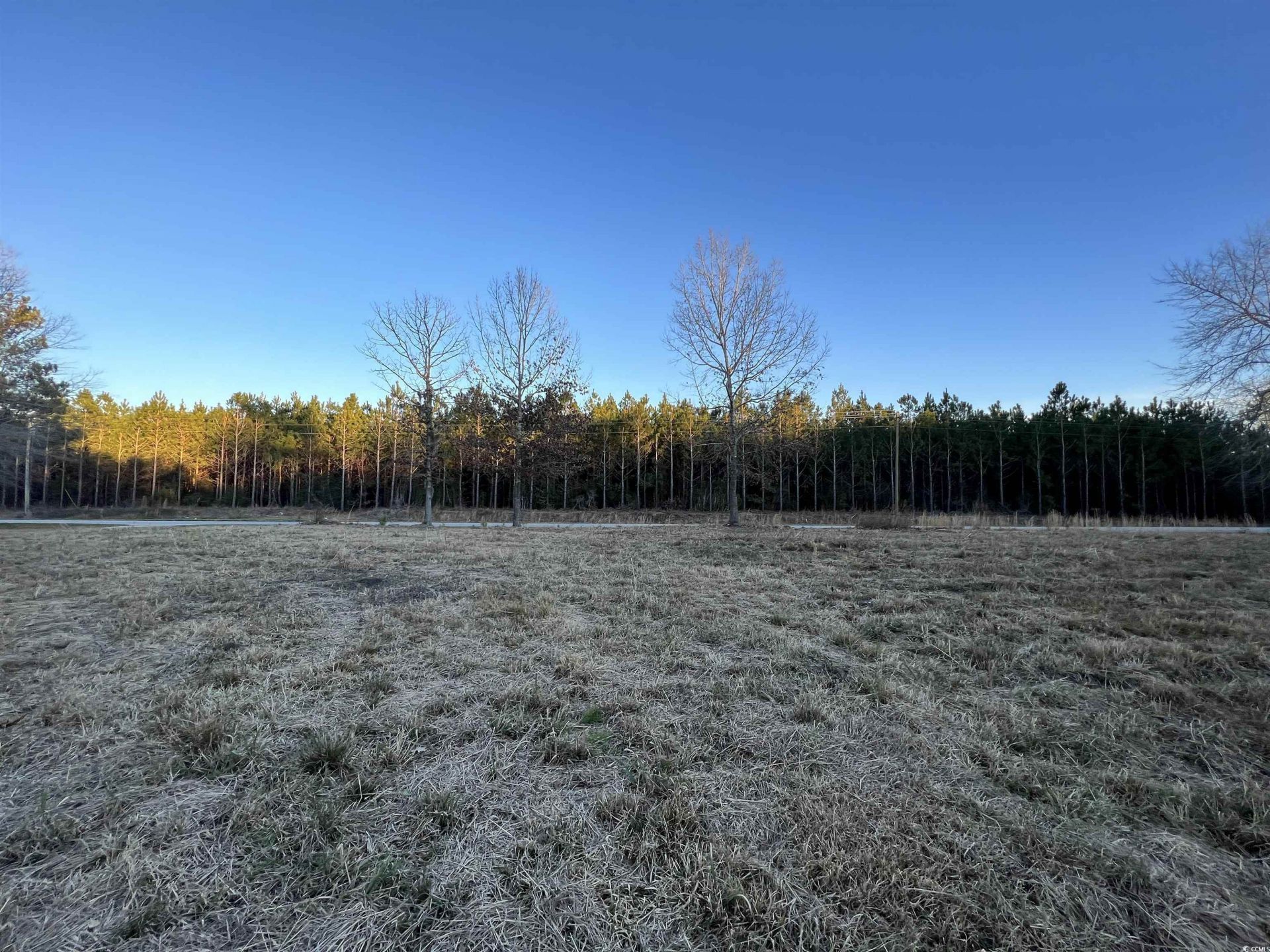 9207 County Line Rd. Photo 4