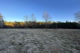 9207 County Line Rd. photo 4