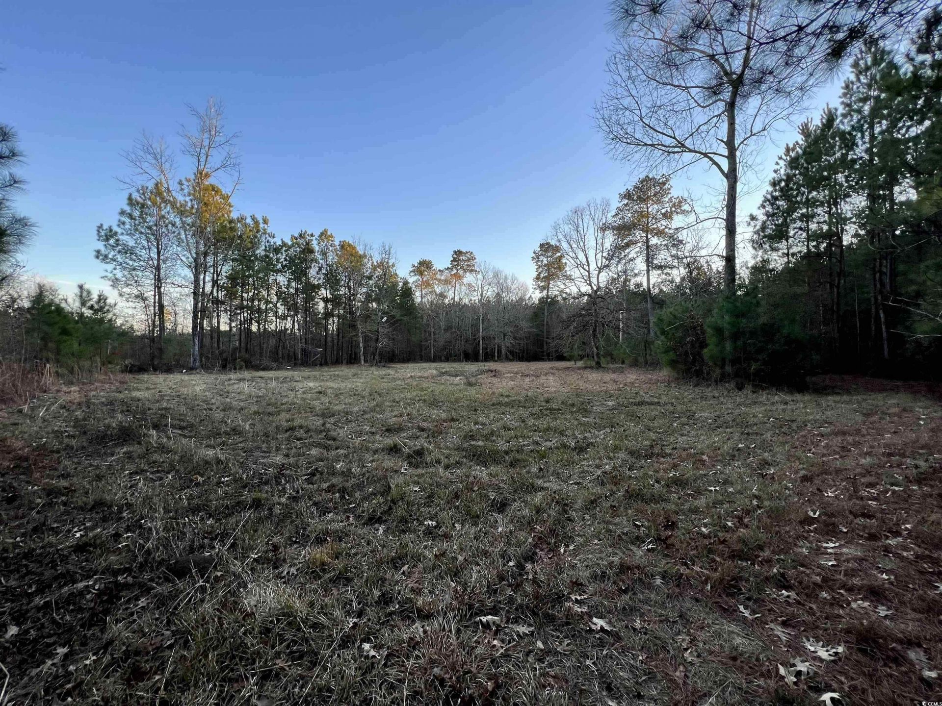 9207 County Line Rd. Photo 5