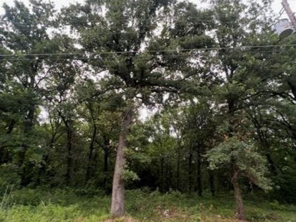 115 Inca Trail, Mabank, TX 75156