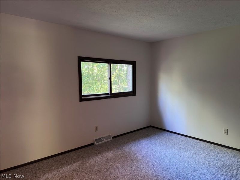 77 Leffingwell Drive, Orwell, OH 44076 Photo 9