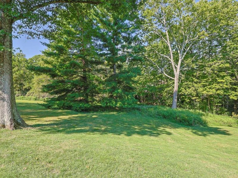 8505 Fox Cub Lane, Indian Hill, OH 45243 Photo 18
