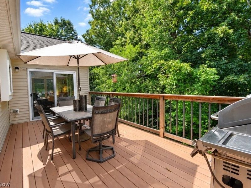 2316 Green Ridge Drive, Wickliffe, OH 44092 Photo 43
