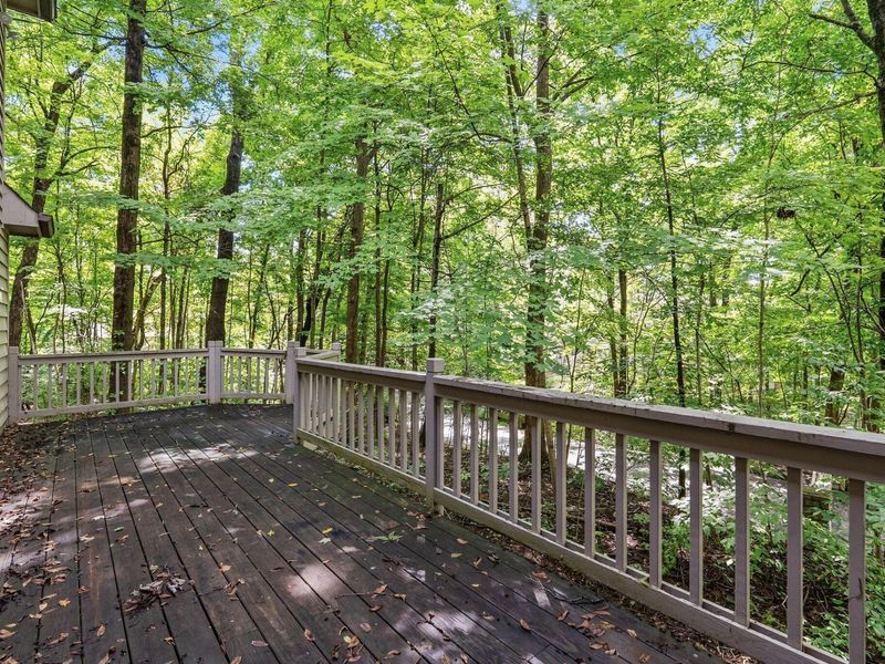5050 Forest Trail, Columbus, OH 43230 Photo 23