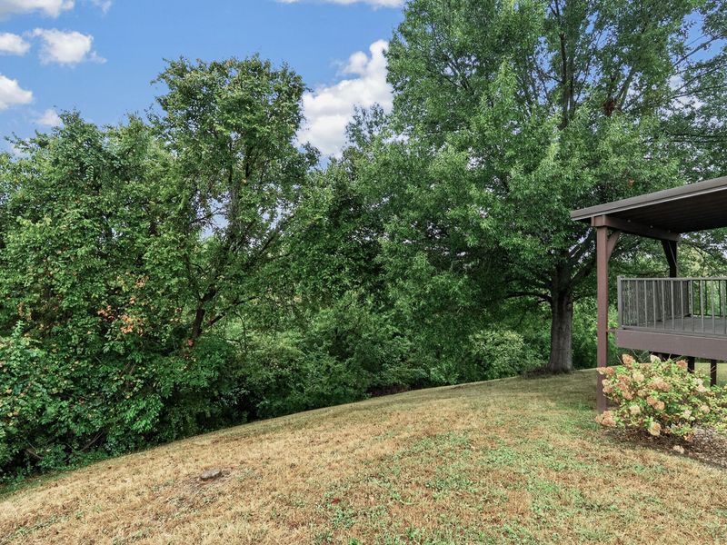51 Paul Lane, Alexandria, KY 41001 Photo 23