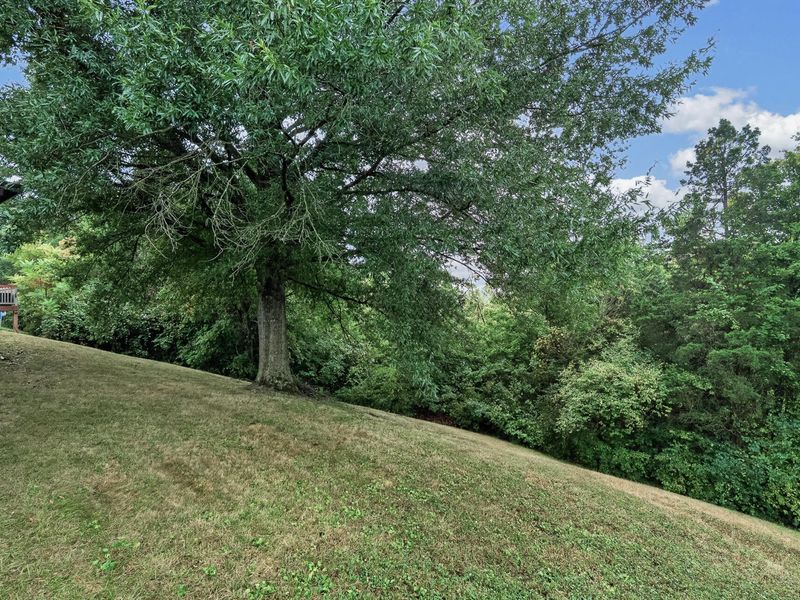 51 Paul Lane, Alexandria, KY 41001 Photo 26