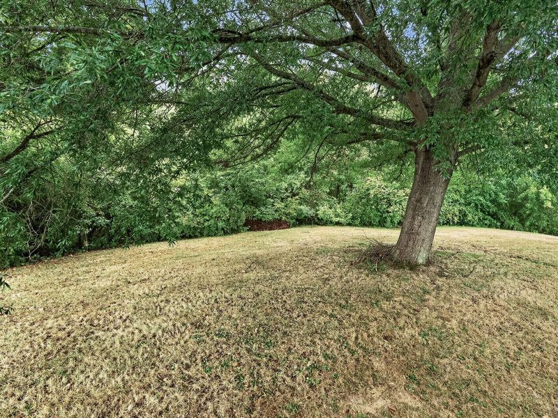 51 Paul Lane, Alexandria, KY 41001 Photo 29