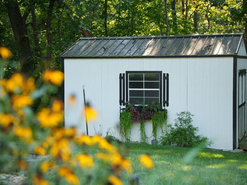 15683 Violet Road, Crittenden, KY 41030 Photo 49