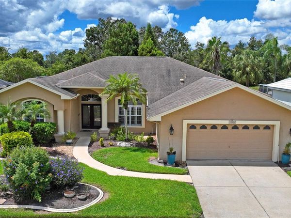 23218 CYPRESS TRAIL DRIVE, LUTZ, FL 33549
