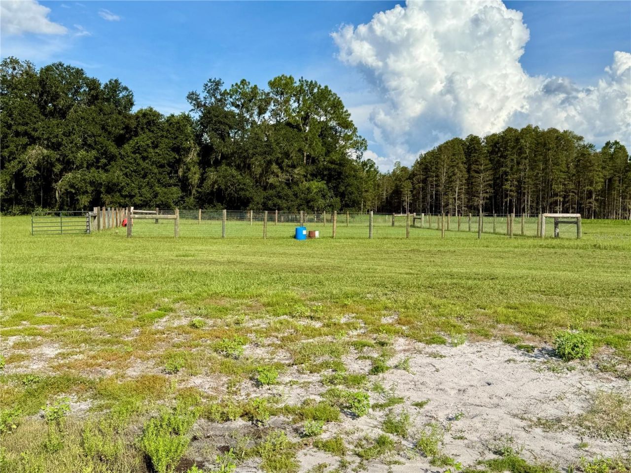 14875 Cr 751, Webster, FL 33597 Photo