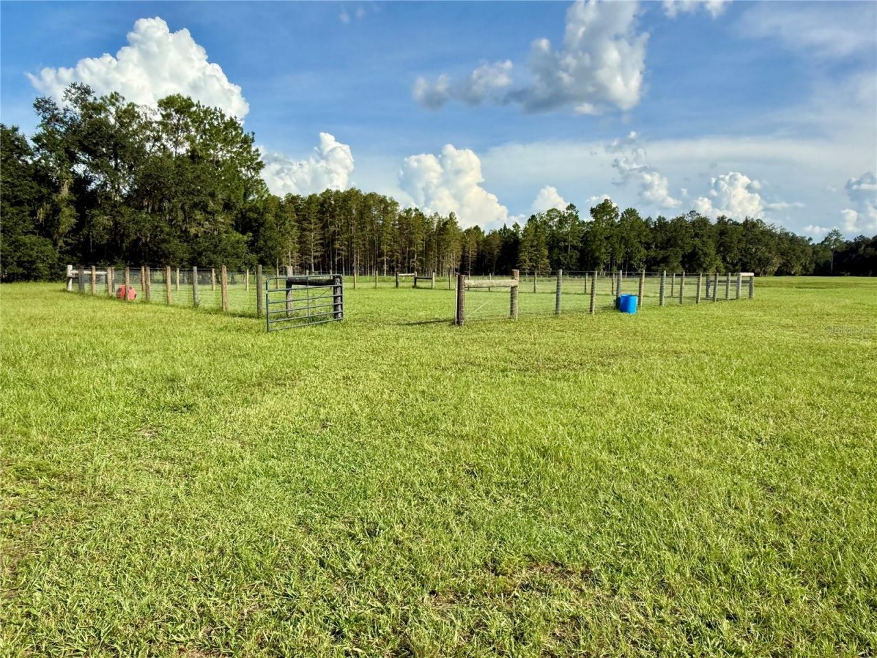 14875 Cr 751, Webster, FL 33597 Photo