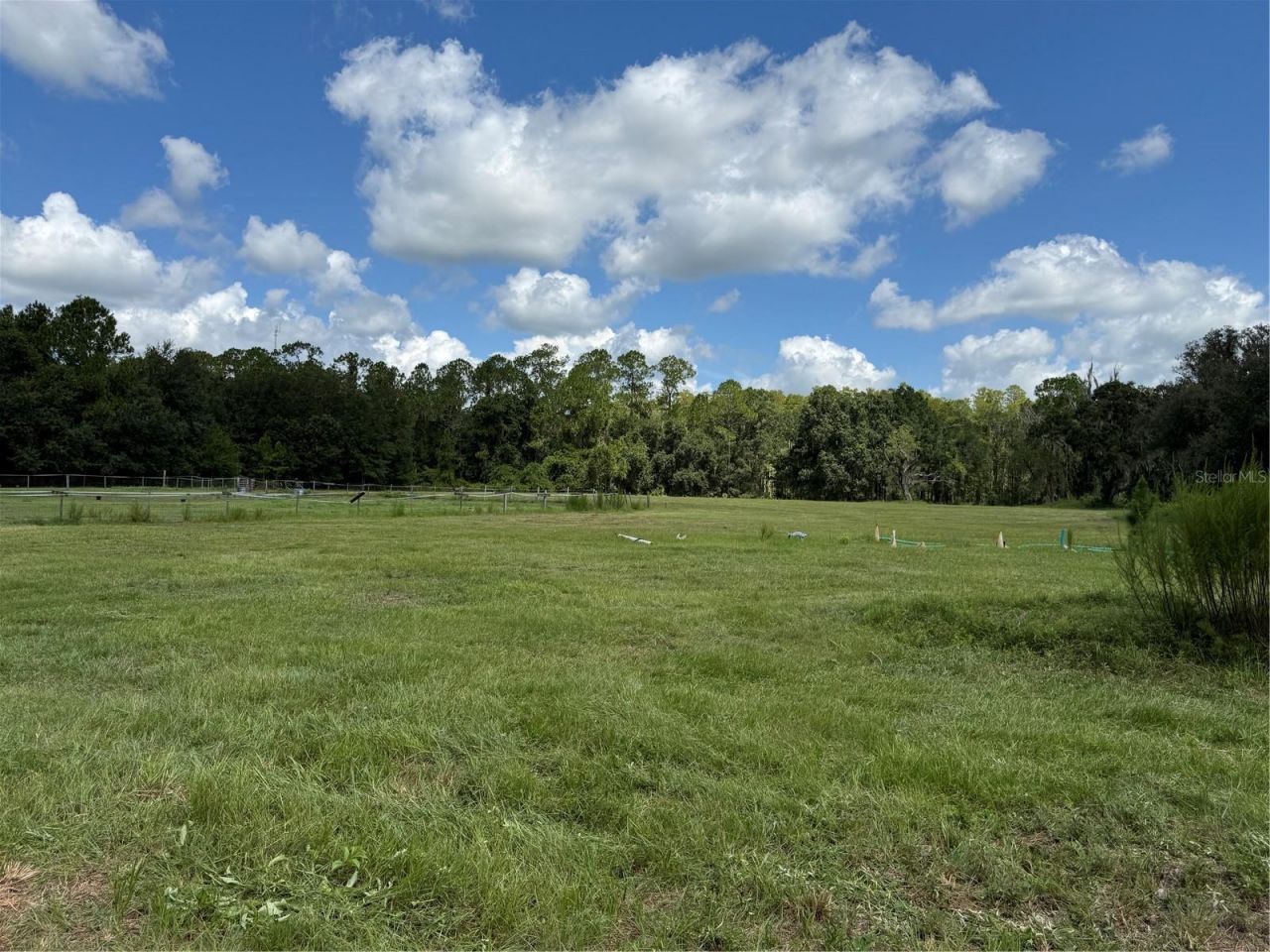 14875 Cr 751, Webster, FL 33597 Photo