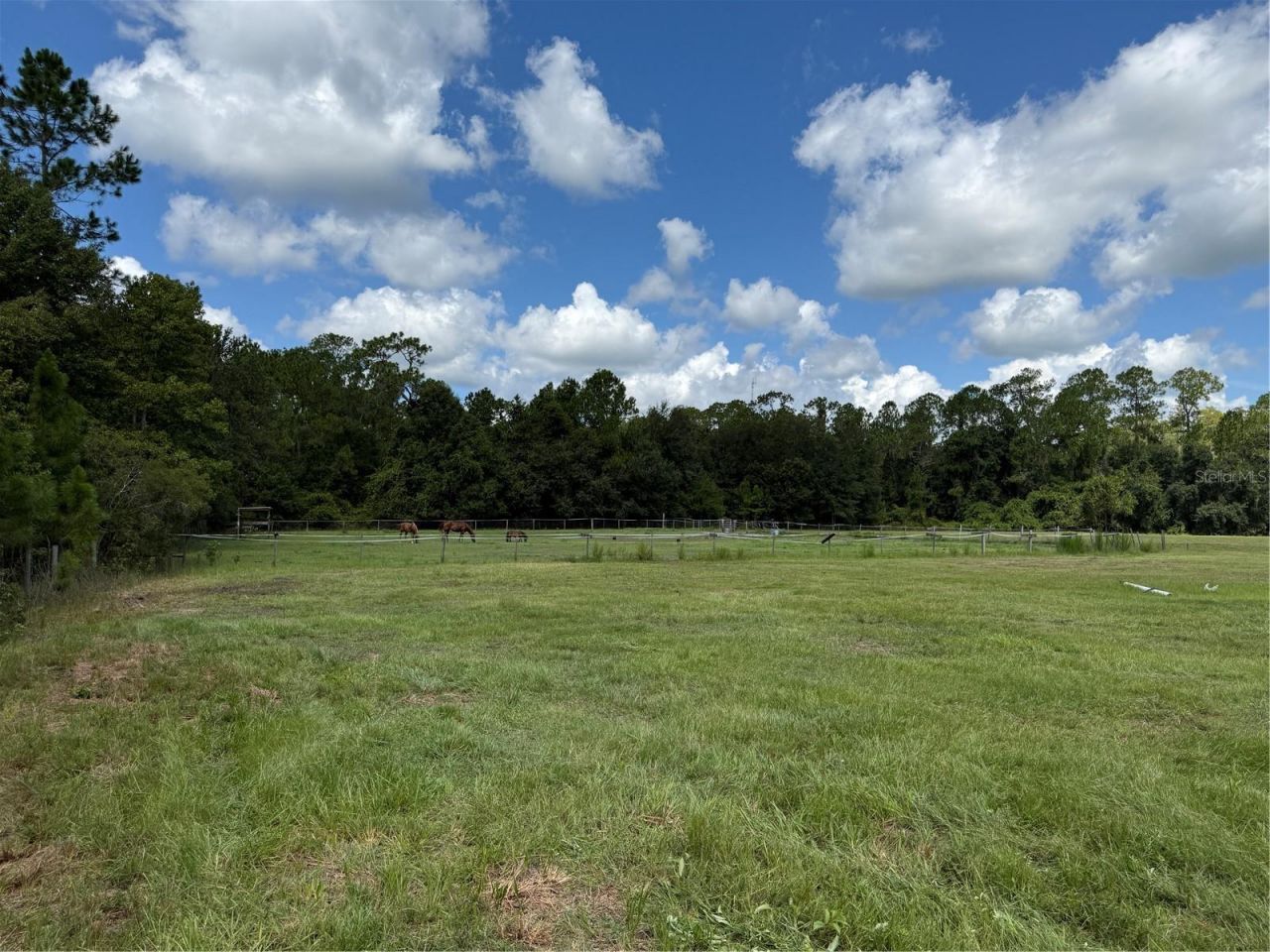14875 Cr 751, Webster, FL 33597 Photo