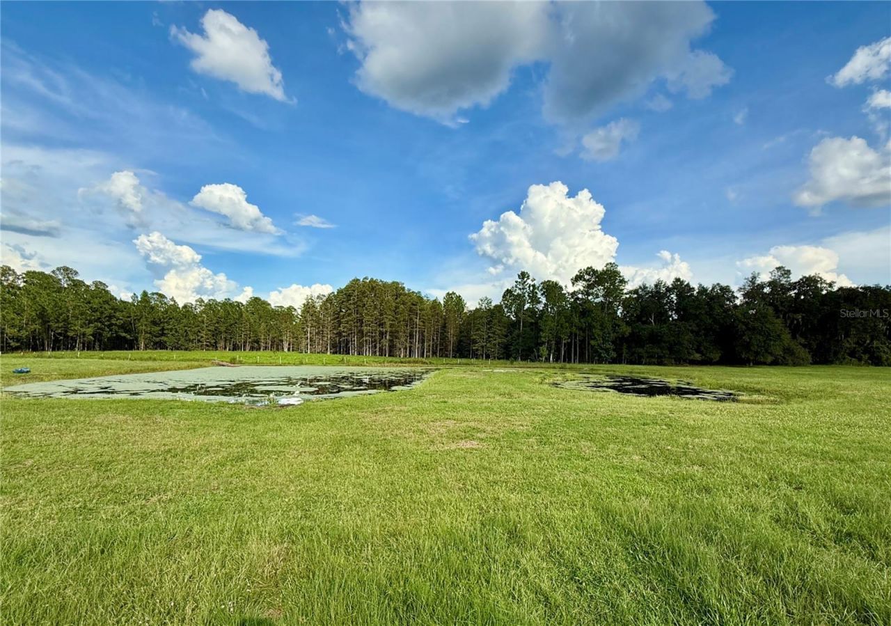 14875 Cr 751, Webster, FL 33597 Photo