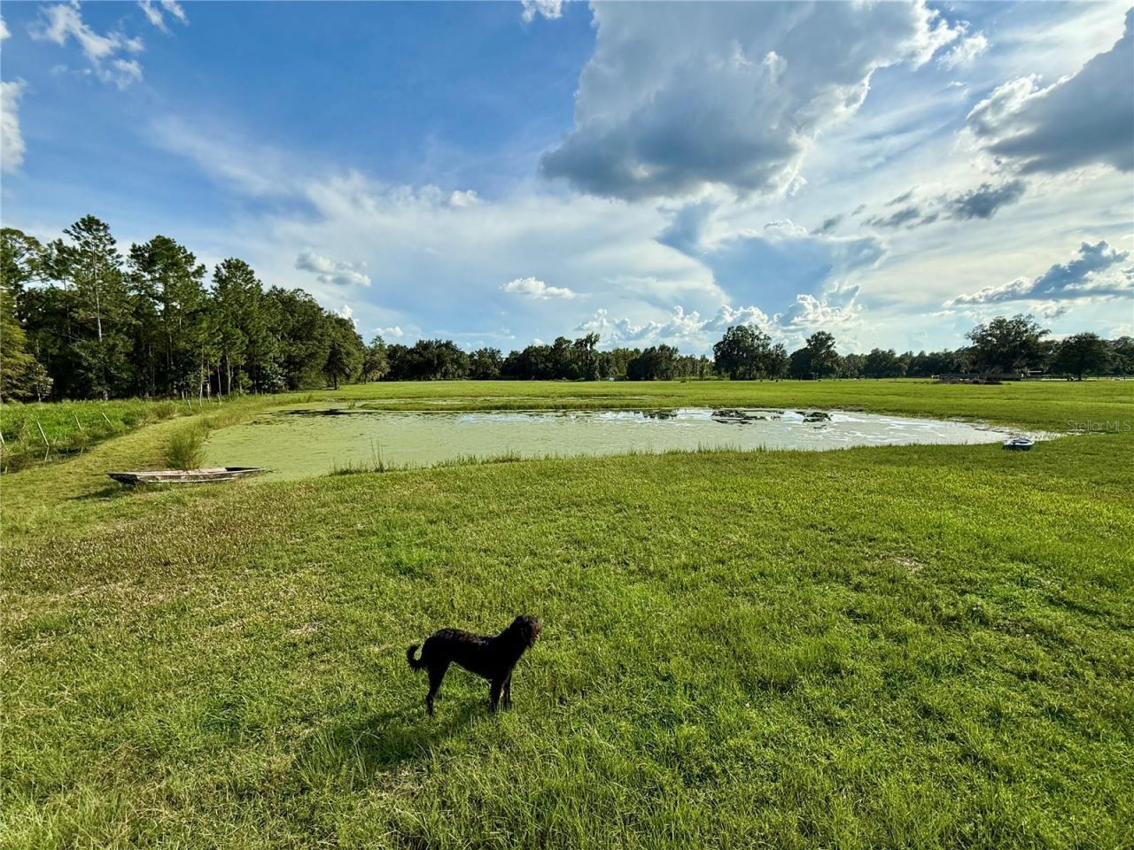 14875 Cr 751, Webster, FL 33597 Photo