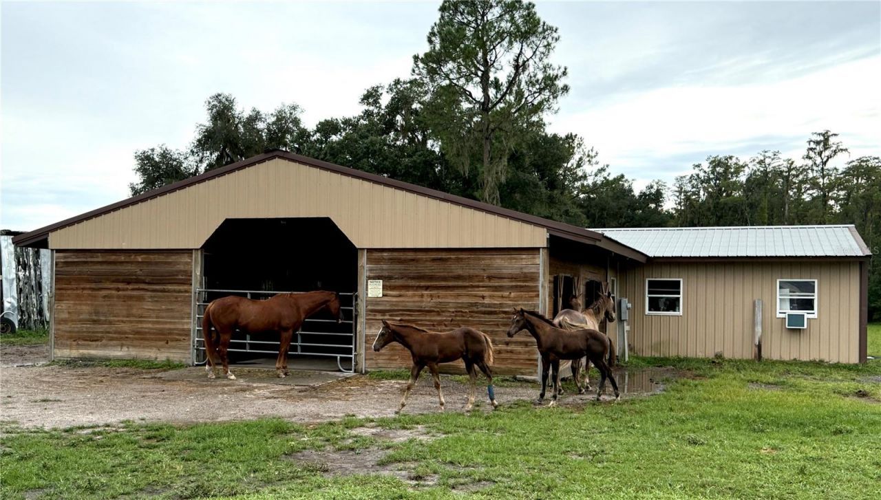 14875 Cr 751, Webster, FL 33597 Photo