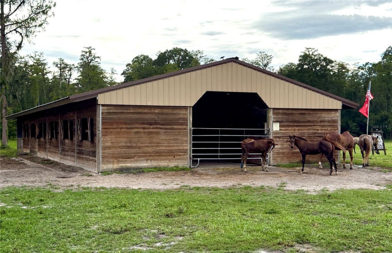 14875 Cr 751, Webster, FL 33597 Photo