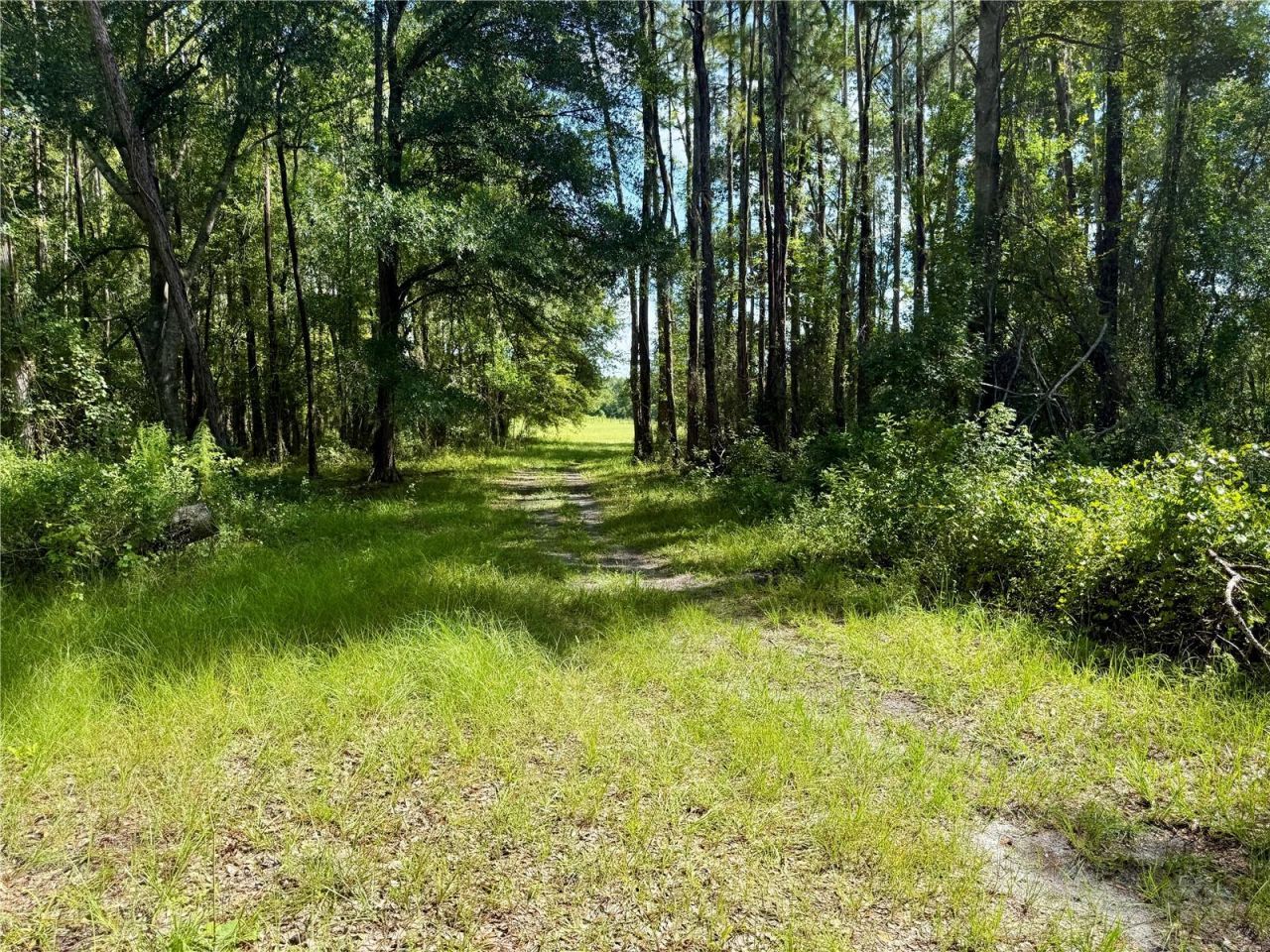 14875 Cr 751, Webster, FL 33597 Photo