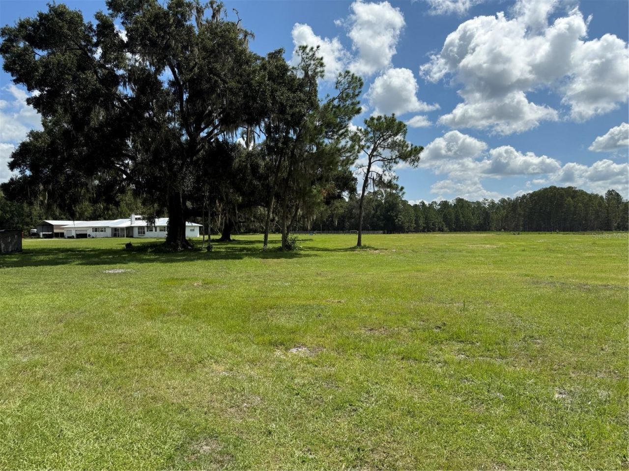 14875 Cr 751, Webster, FL 33597 Photo