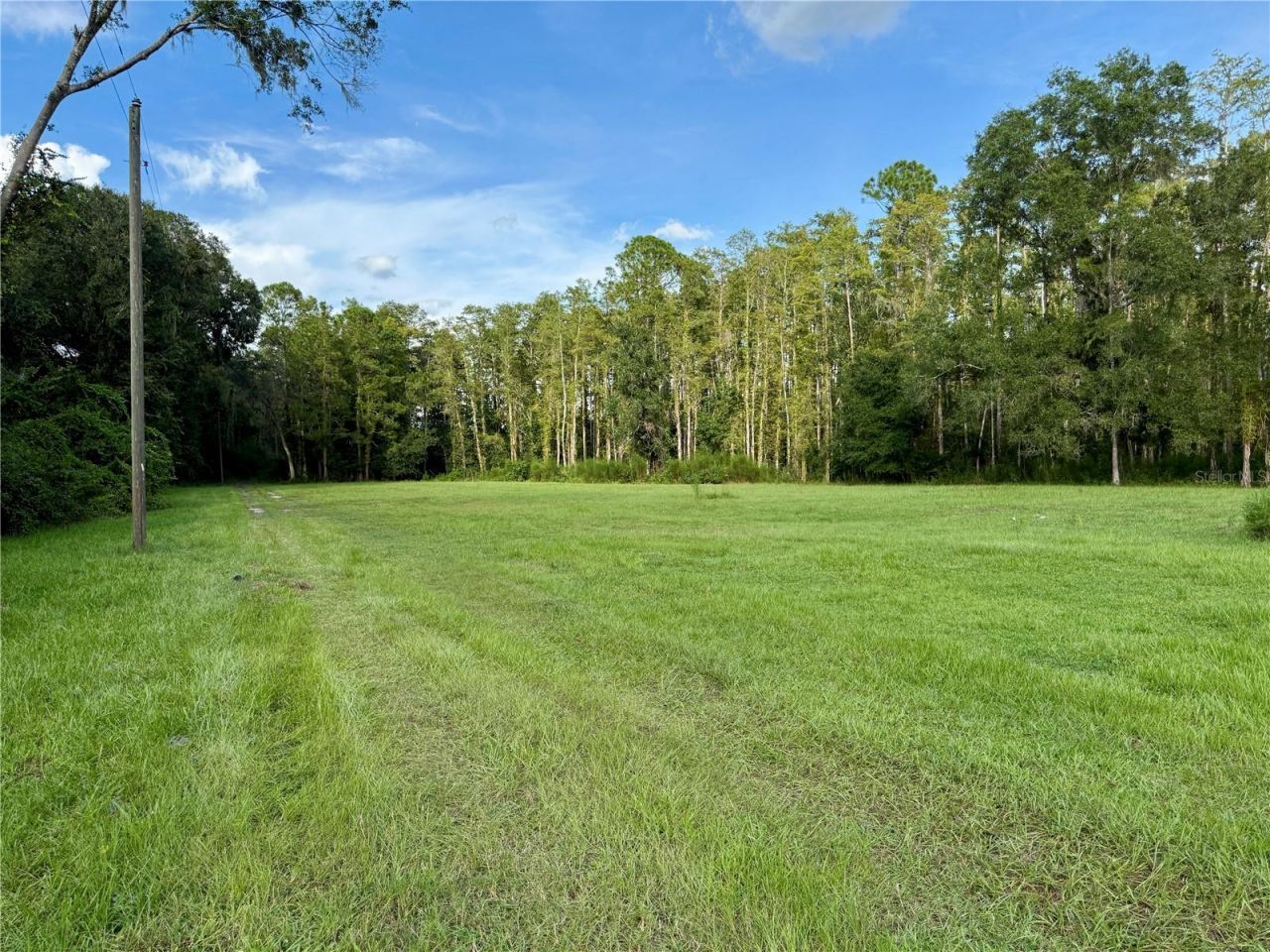 14875 Cr 751, Webster, FL 33597 Photo