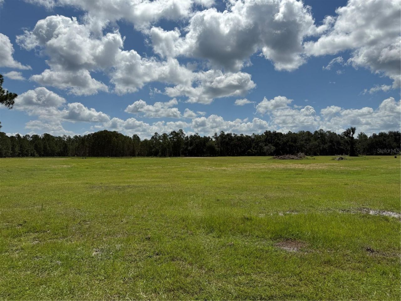 14875 Cr 751, Webster, FL 33597 Photo